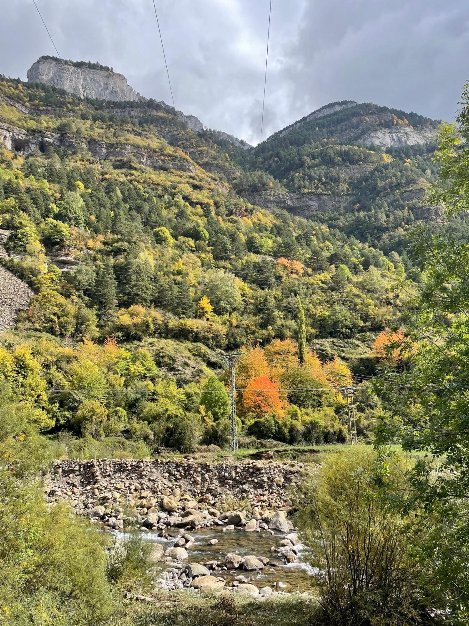 Calmfranc Atico Abuhardillado Con Vistas Al Rio Y La Montana Avistamiento De Ciervos En Canfranc Pueblo Bagian luar foto