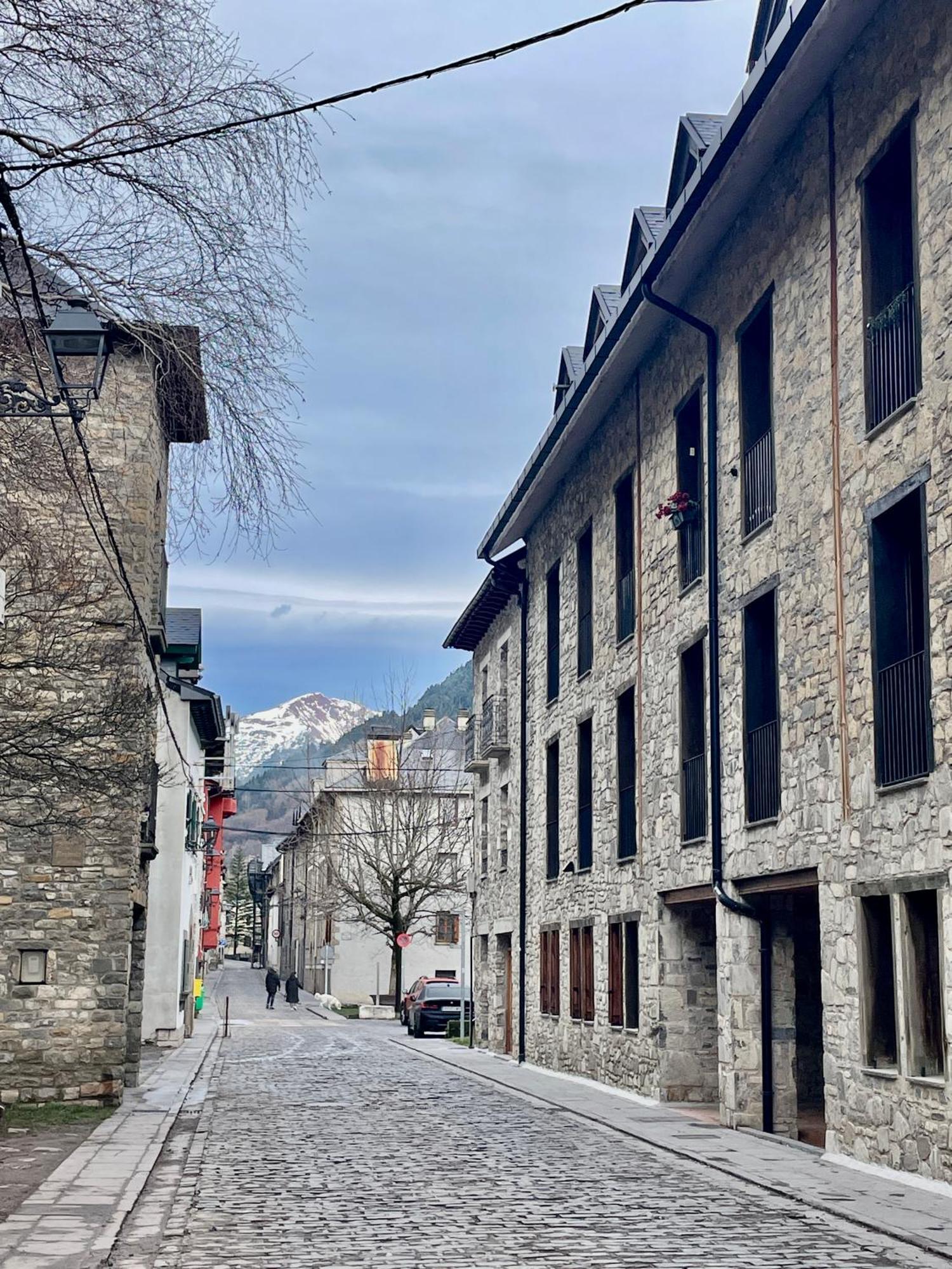 Calmfranc Atico Abuhardillado Con Vistas Al Rio Y La Montana Avistamiento De Ciervos En Canfranc Pueblo Bagian luar foto
